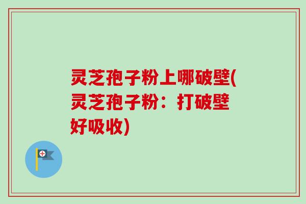 灵芝孢子粉上哪破壁(灵芝孢子粉：打破壁 好吸收)