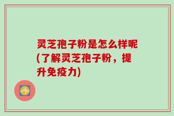 灵芝孢子粉是怎么样呢(了解灵芝孢子粉，提升免疫力)