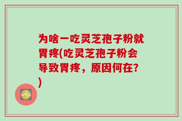 为啥一吃灵芝孢子粉就胃疼(吃灵芝孢子粉会导致胃疼，原因何在？)