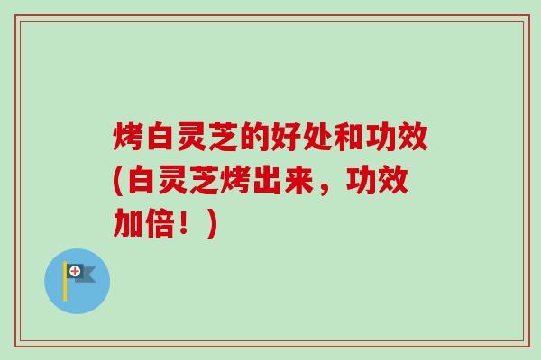 烤白灵芝的好处和功效(白灵芝烤出来，功效加倍！)