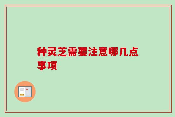 种灵芝需要注意哪几点事项 种灵芝需要注意哪几点事项