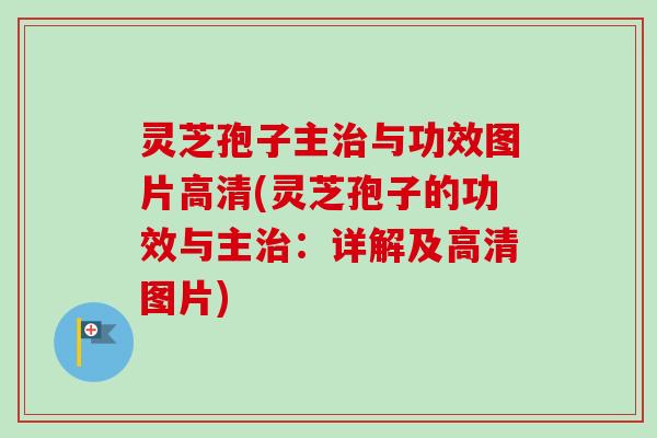 灵芝孢子主治与功效图片高清(灵芝孢子的功效与主治：详解及高清图片)