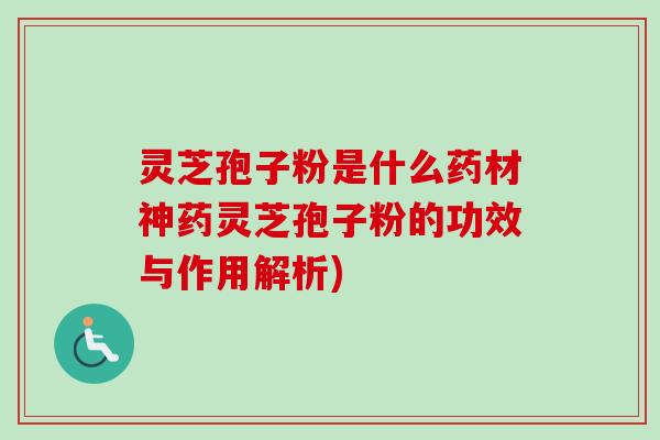 灵芝孢子粉是什么药材神药灵芝孢子粉的功效与作用解析)