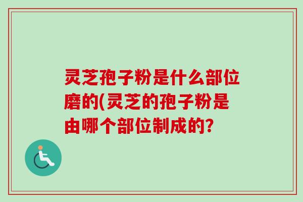 灵芝孢子粉是什么部位磨的(灵芝的孢子粉是由哪个部位制成的？
