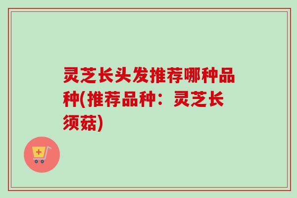 灵芝长头发推荐哪种品种(推荐品种：灵芝长须菇)