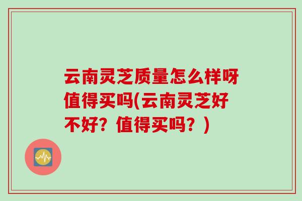 云南灵芝质量怎么样呀值得买吗(云南灵芝好不好？值得买吗？)