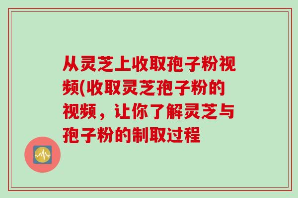 从灵芝上收取孢子粉视频(收取灵芝孢子粉的视频,让你了解灵芝与孢子粉的制取过程 从灵芝上收取孢子粉视频(收取灵芝孢子粉的视频,让你了解灵芝与孢子粉的制取过程