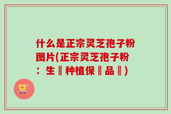 什么是正宗灵芝孢子粉图片(正宗灵芝孢子粉：生態种植保證品質)