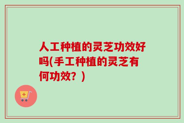 人工种植的灵芝功效好吗(手工种植的灵芝有何功效？)