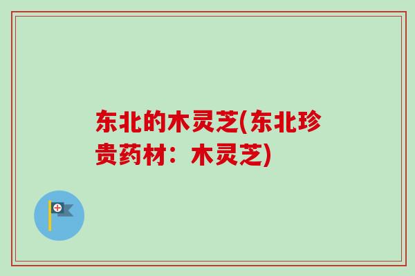 东北的木灵芝(东北珍贵药材：木灵芝)