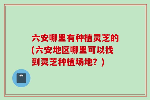六安哪里有种植灵芝的(六安地区哪里可以找到灵芝种植场地？)