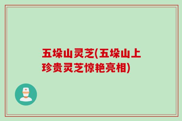 五垛山灵芝(五垛山上珍贵灵芝惊艳亮相)