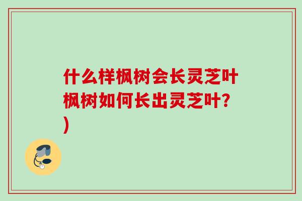 什么样枫树会长灵芝叶枫树如何长出灵芝叶？)