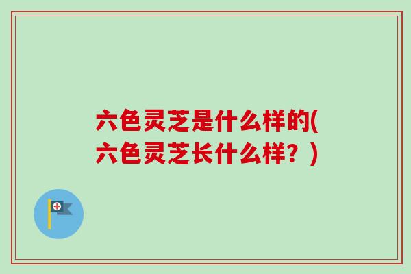 六色灵芝是什么样的(六色灵芝长什么样？)
