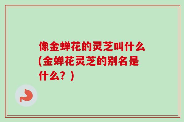 像金蝉花的灵芝叫什么(金蝉花灵芝的别名是什么？)