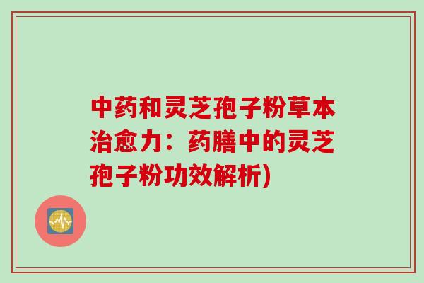 中药和灵芝孢子粉草本治愈力：药膳中的灵芝孢子粉功效解析)