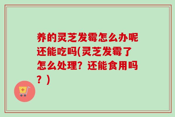 养的灵芝发霉怎么办呢还能吃吗(灵芝发霉了怎么处理？还能食用吗？)