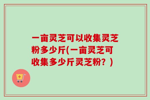 一亩灵芝可以收集灵芝粉多少斤(一亩灵芝可收集多少斤灵芝粉？)
