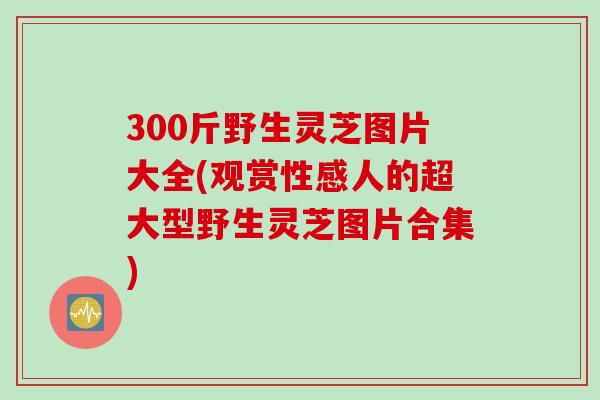 300斤野生灵芝图片大全(观赏性感人的超大型野生灵芝图片合集)
