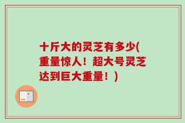 十斤大的灵芝有多少(重量惊人！超大号灵芝达到巨大重量！)