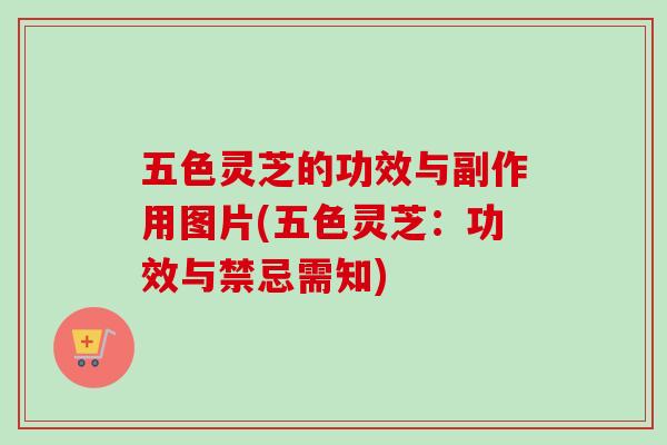 五色灵芝的功效与副作用图片(五色灵芝：功效与禁忌需知)