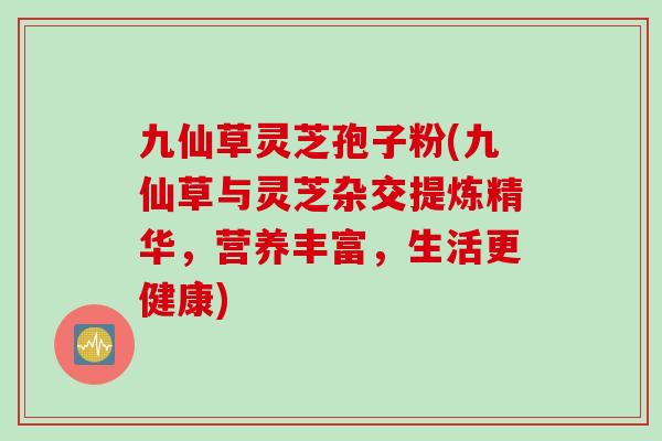 九仙草灵芝孢子粉(九仙草与灵芝杂交提炼精华，营养丰富，生活更健康)