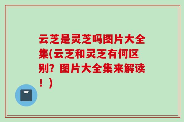 云芝是灵芝吗图片大全集(云芝和灵芝有何区别？图片大全集来解读！)