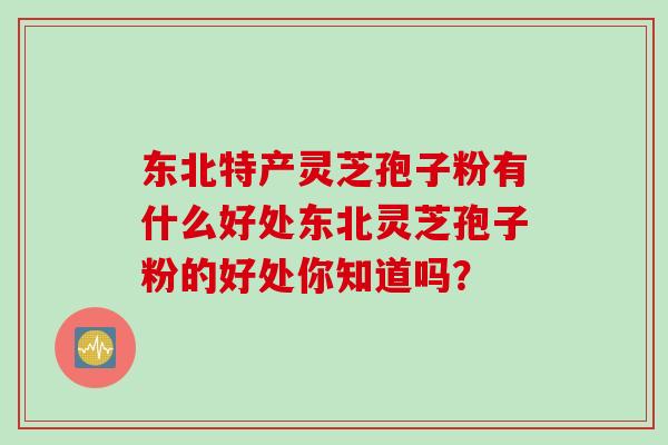 东北特产灵芝孢子粉有什么好处东北灵芝孢子粉的好处你知道吗？