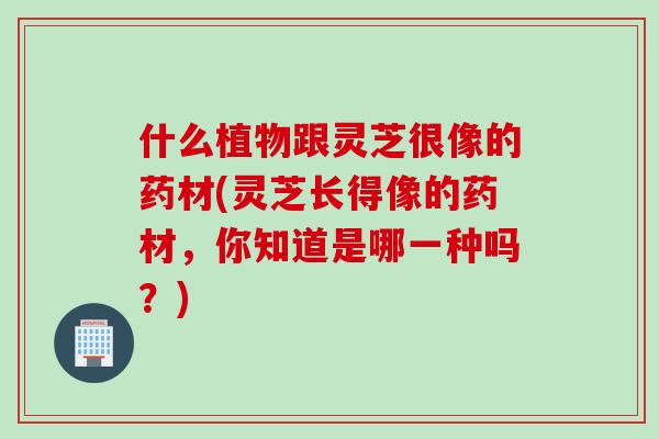 什么植物跟灵芝很像的药材(灵芝长得像的药材，你知道是哪一种吗？)