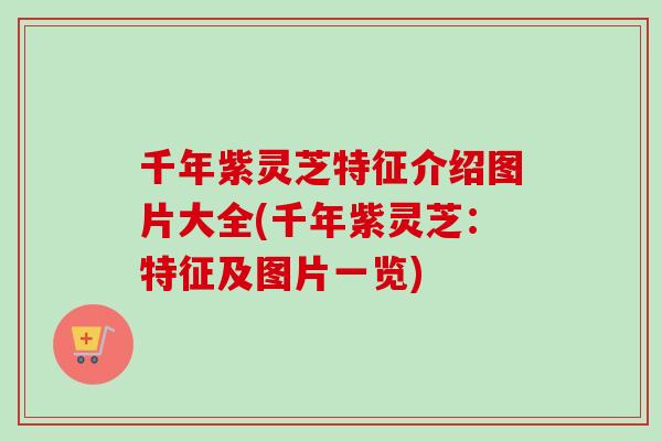 千年紫灵芝特征介绍图片大全(千年紫灵芝：特征及图片一览)
