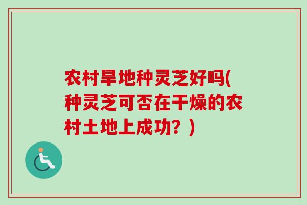 农村旱地种灵芝好吗(种灵芝可否在干燥的农村土地上成功？)