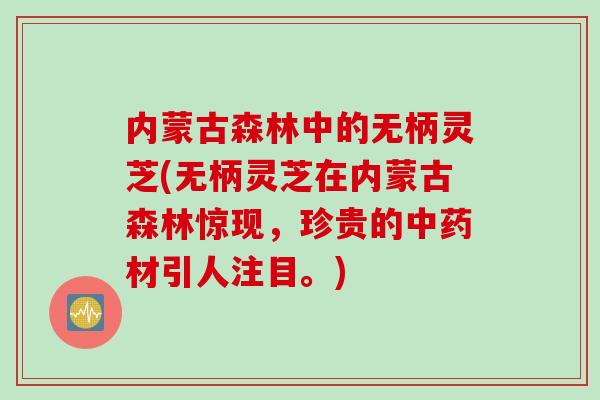 内蒙古森林中的无柄灵芝(无柄灵芝在内蒙古森林惊现，珍贵的中药材引人注目。)