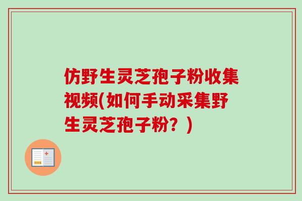 仿野生灵芝孢子粉收集视频(如何手动采集野生灵芝孢子粉？)