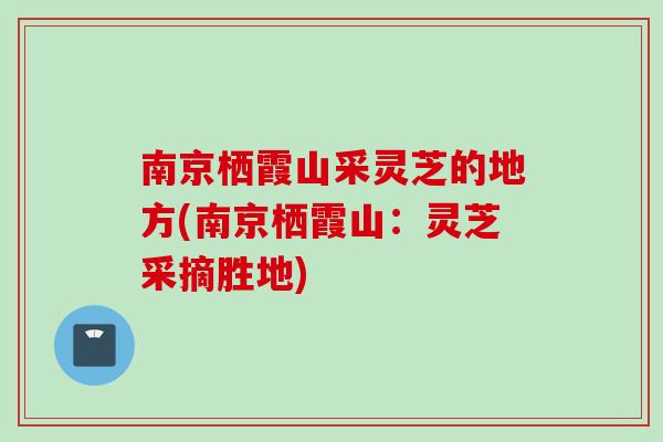南京栖霞山采灵芝的地方(南京栖霞山：灵芝采摘胜地)