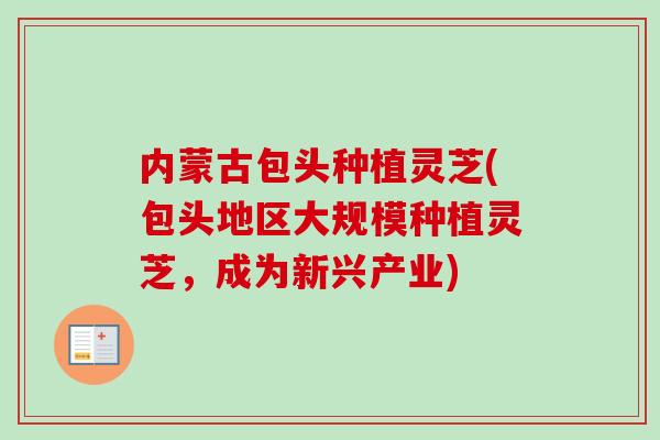 内蒙古包头种植灵芝(包头地区大规模种植灵芝，成为新兴产业)