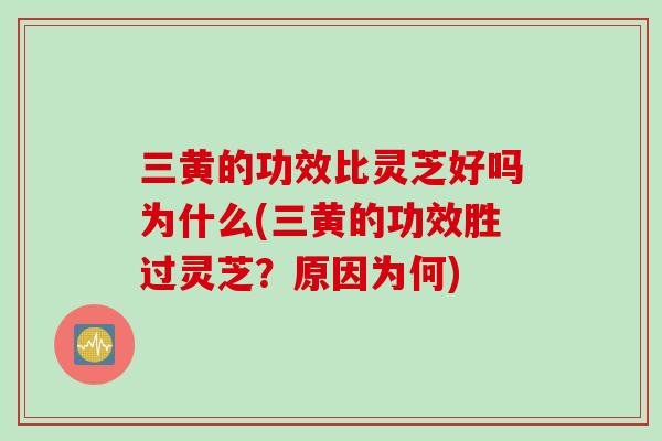 三黄的功效比灵芝好吗为什么(三黄的功效胜过灵芝？原因为何)