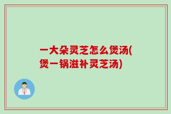一大朵灵芝怎么煲汤(煲一锅滋补灵芝汤)