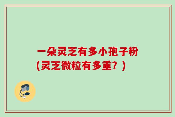 一朵灵芝有多小孢子粉(灵芝微粒有多重？)