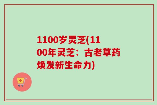 1100岁灵芝(1100年灵芝：古老草药焕发新生命力)