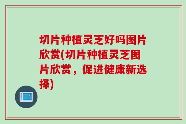 切片种植灵芝好吗图片欣赏(切片种植灵芝图片欣赏，促进健康新选择)