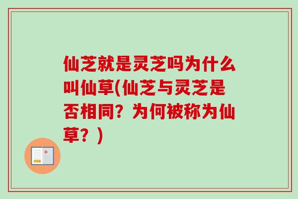 仙芝就是灵芝吗为什么叫仙草(仙芝与灵芝是否相同？为何被称为仙草？)