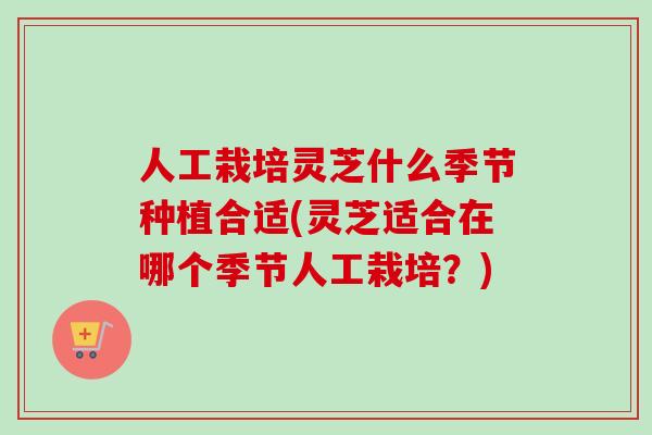 人工栽培灵芝什么季节种植合适(灵芝适合在哪个季节人工栽培?) 人工栽培灵芝什么季节种植合适(灵芝适合在哪个季节人工栽培?)