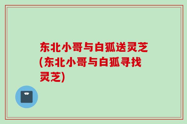 东北小哥与白狐送灵芝(东北小哥与白狐寻找灵芝) 东北小哥与白狐送灵芝(东北小哥与白狐寻找灵芝)