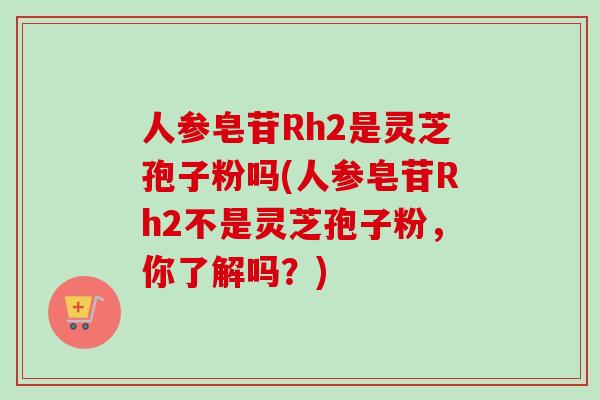 人参皂苷Rh2是灵芝孢子粉吗(人参皂苷Rh2不是灵芝孢子粉，你了解吗？)