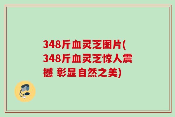 348斤灵芝图片(348斤灵芝惊人震撼 彰显自然之美)
