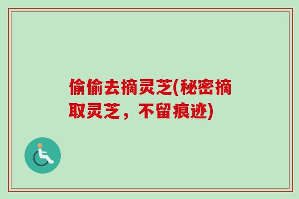 偷偷去摘灵芝(秘密摘取灵芝，不留痕迹)