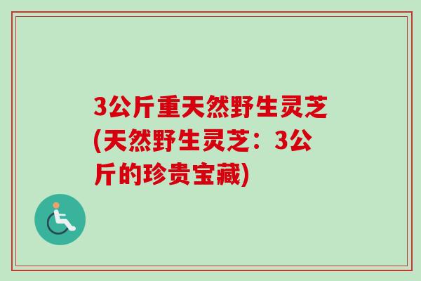 3公斤重天然野生灵芝(天然野生灵芝：3公斤的珍贵宝藏)