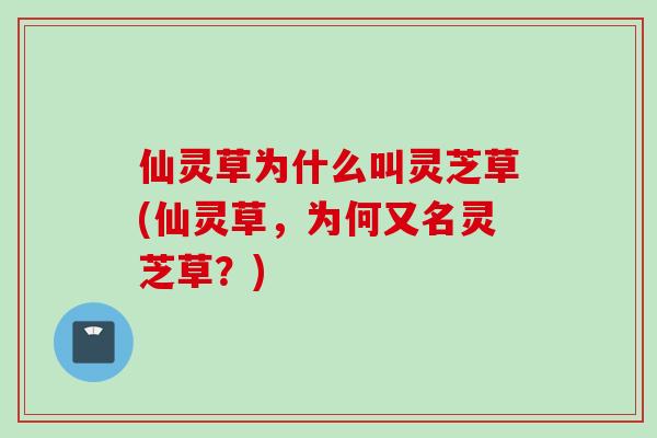 仙灵草为什么叫灵芝草(仙灵草，为何又名灵芝草？)