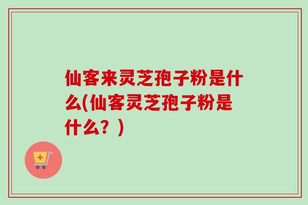 仙客来灵芝孢子粉是什么(仙客灵芝孢子粉是什么？)