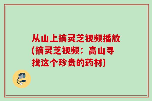 从山上摘灵芝视频播放(摘灵芝视频：高山寻找这个珍贵的药材)